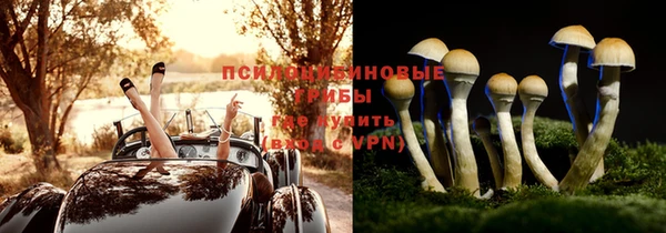 эйфоретик Алексин